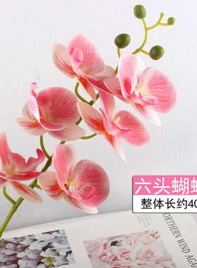 高档PU蝴蝶兰仿真花假花仿真花卧室客厅酒店前台茶几装饰摆件