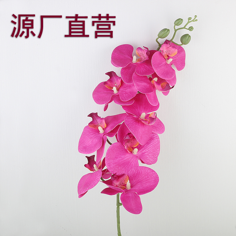 仿真花蝴蝶兰假花摆设客厅餐桌装饰花花束婚庆花艺摆件高级感