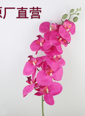 仿真花蝴蝶兰假花摆设客厅餐桌装饰花花束婚庆花艺摆件高级感