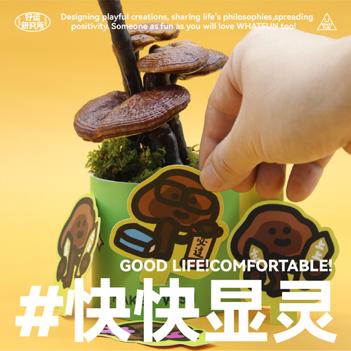 啥玩异WHAT FUN·植物系列「快快显灵」桌面摆件植物好运礼物创意