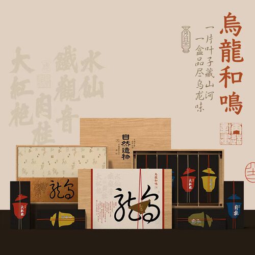 乌龙茶礼盒岩茶高端伴手礼送长辈