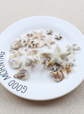 ins风贝壳海星摆件装饰