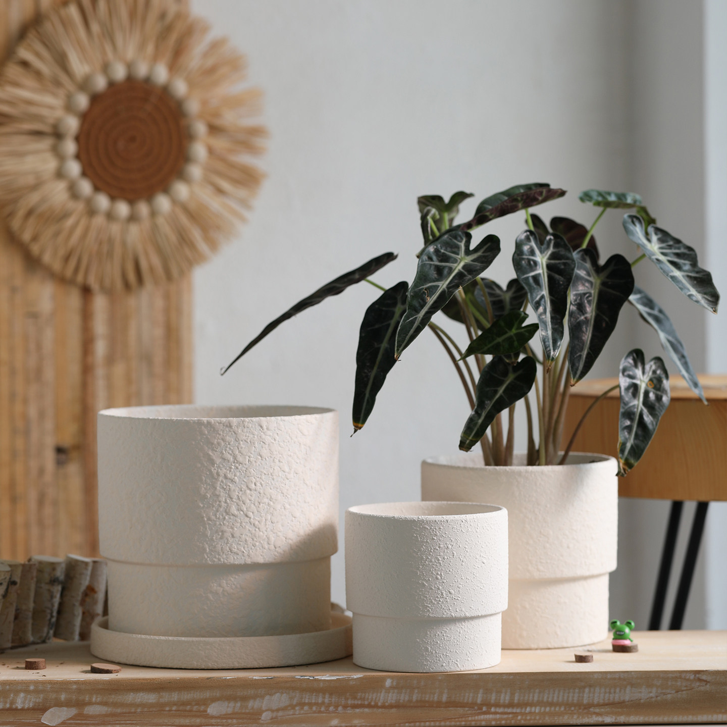 粗陶素烧陶瓷胚花盆陶泥浆粗面圆形透气白陶土带托盘多肉绿植盆栽,鲜花速递/花卉仿真/绿植园艺,花盆,淘宝优惠券,粉丝福利购,淘宝优惠卷