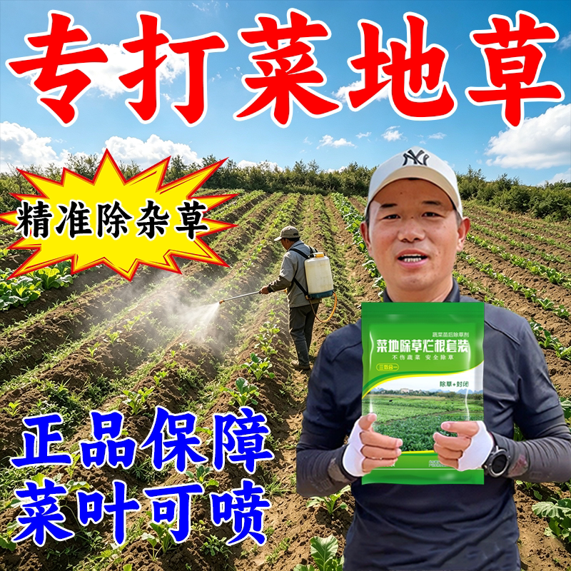 菜地除草专用剂辣椒茄子豆角花生大豆除草不伤菜苗专打杂草杀虫药