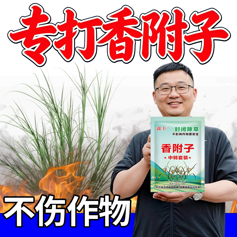 专打香附子附香子强效渗透