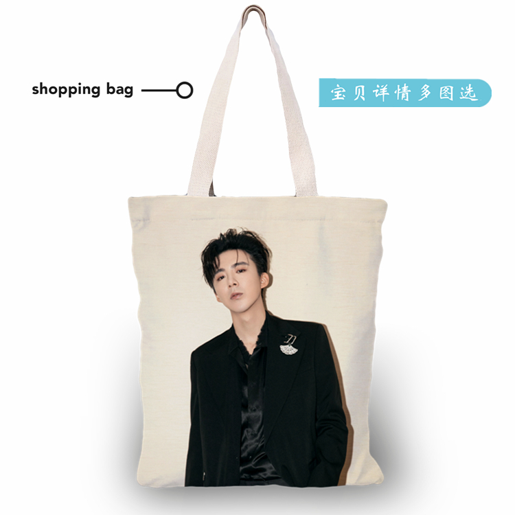摩登兄弟刘宇宁帆布购物袋周边少女学生单肩包演唱会专辑照片定制
