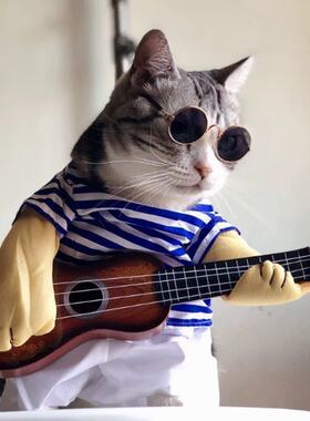 宠物猫眼镜猫咪墨镜复古太阳镜