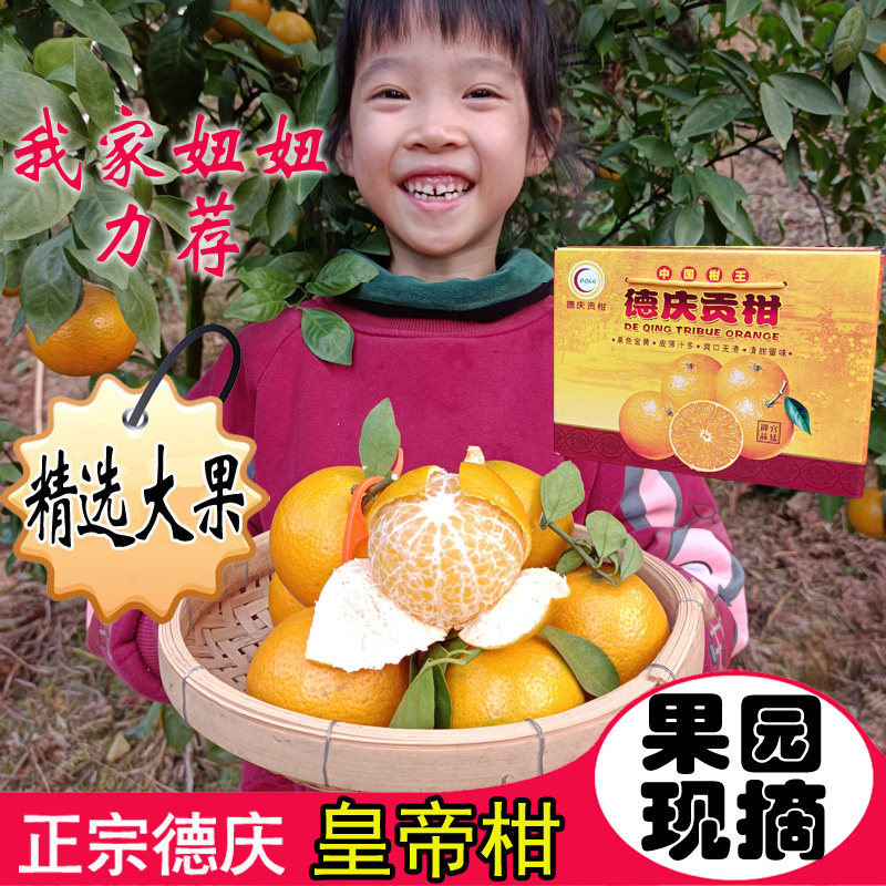 皇帝柑新鲜正宗广东德庆贡柑手剥橙孕妇当季水果特级大果10斤礼盒,水产肉类/新鲜蔬果/熟食,桔子,淘宝优惠券,粉丝福利购,淘宝优惠卷
