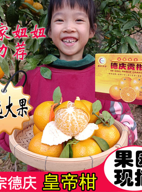 皇帝柑新鲜正宗广东德庆贡柑手剥橙孕妇当季水果特级大果10斤礼盒