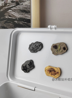 迷你化石恐龙鸟类鱼骨海星冰箱贴