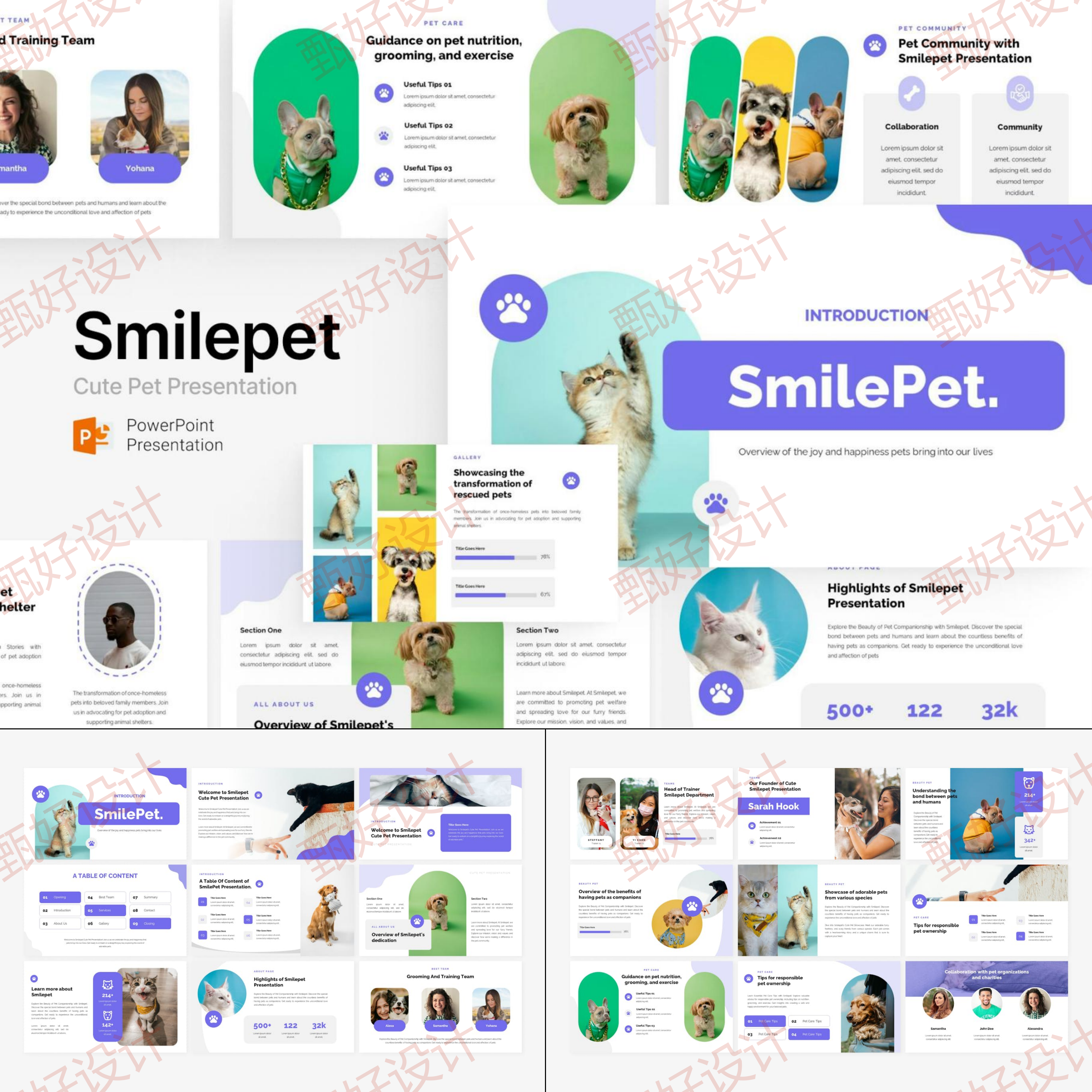 ppt模板宠物动物猫狗护理医院商业品牌营销产品推广项目投资817