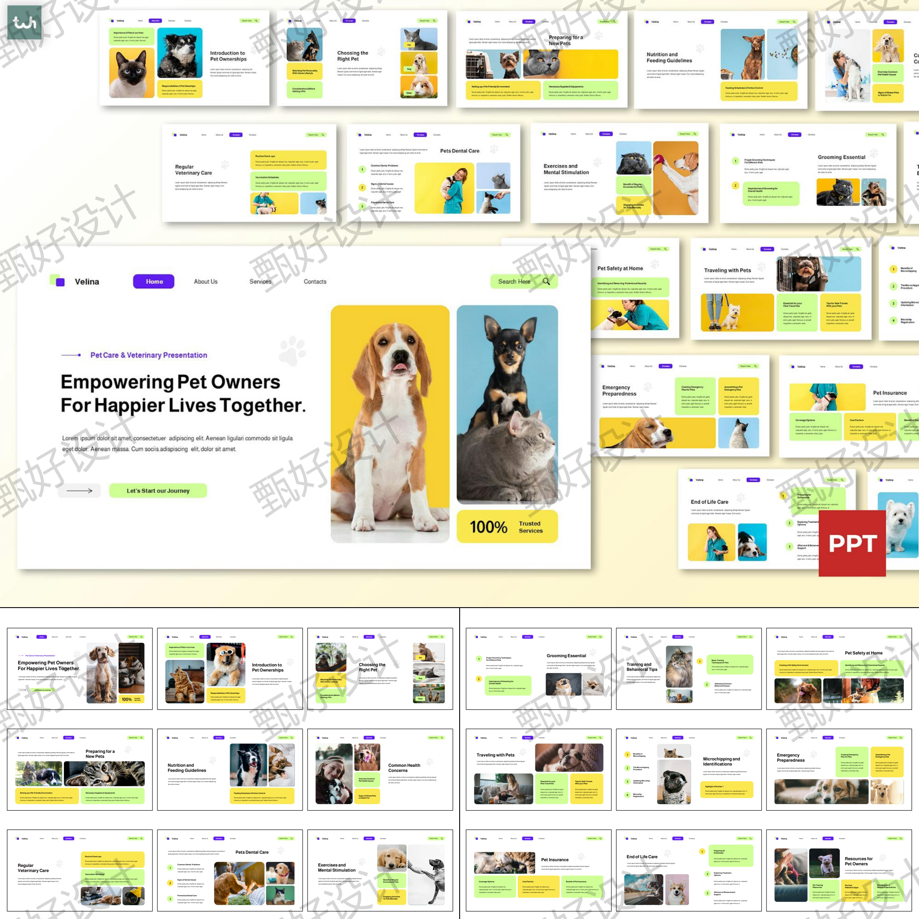 ppt模板现代风宠物护理猫狗兽医诊所护理品牌营销产品投资推广443