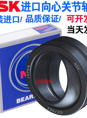 NSK进口向心关节轴承GE 4 6 8 10 17 20 25 30 35 40 45 50 55 ES