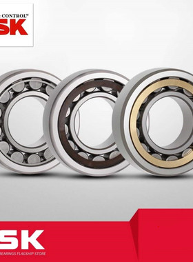 NSK进口 NU203 204 205 206 207 208 209 EW EM C3 圆柱滚子轴承