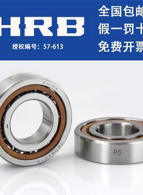 HRB 哈尔滨轴承 71920 71921 CTA P4 P4配对 精密 角接触球 轴承