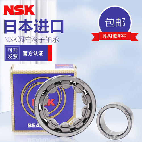 NSK日本进口圆柱滚子轴承RN252 256 260 EM