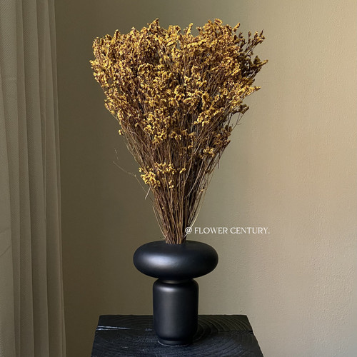 花纪永生材料包手工diy水晶草