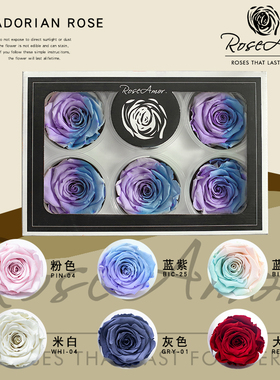 roseamor永生花花纪永生花diy大号厄瓜多尔进口玫瑰全色一盒6朵
