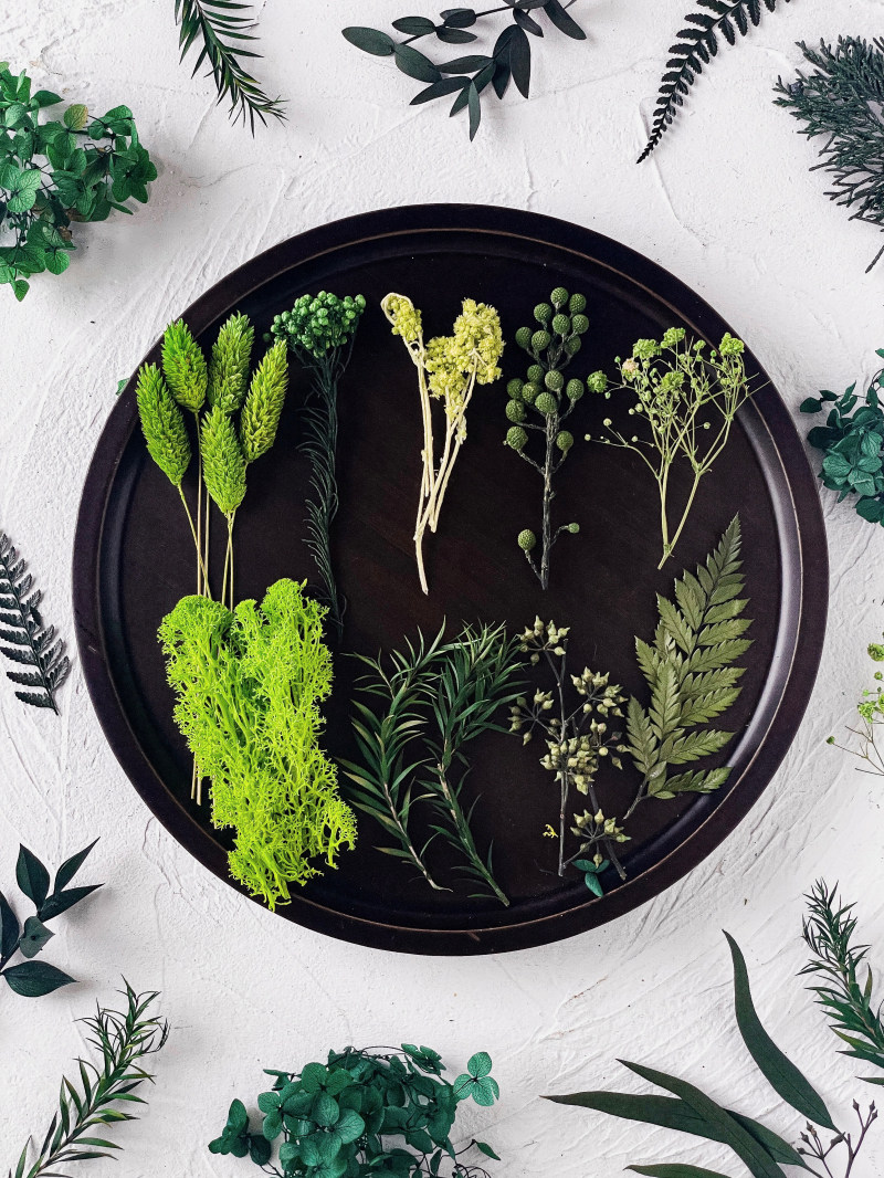 材料包diy迷你干花花束植物标本图片