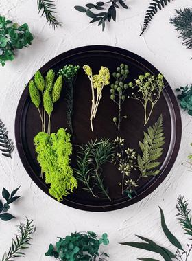 圣诞节绿色永生花戒指材料包diy干花束真植物标本伴手礼卡片装饰