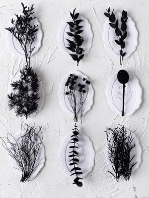 黑色永生花材料包迷你干花束植物