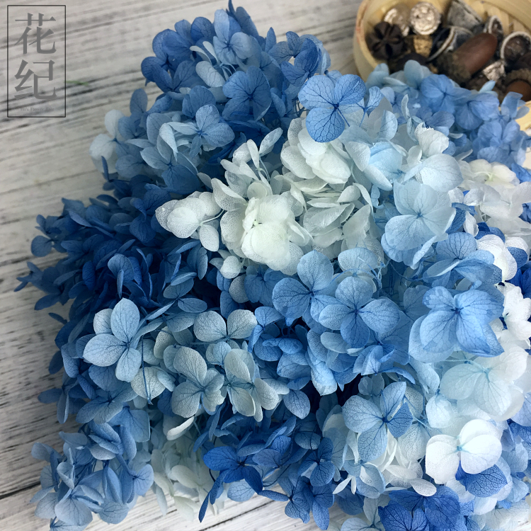 【花紀】永生花diy玻璃罩國產出口精致小葉繡球安娜藍白漸變色