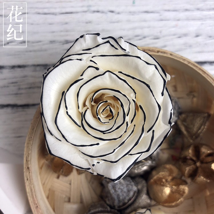 【花紀】永生花材diyの國產篇A級小香風優雅米白黑邊香頌玫瑰