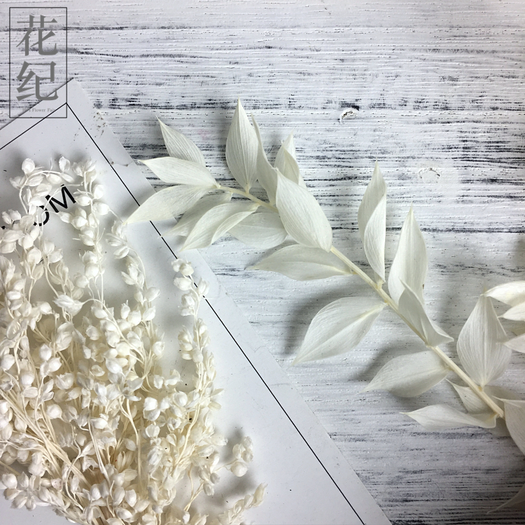 ¡¾»¨¼Í¡¿ÓÀÉú»¨diy½ø¿ÚÅä²Ä²£Á§ÕÖÔ¿³×¿ÛdiyС¼âÒ¶¸»¹óÒ¶°×É«