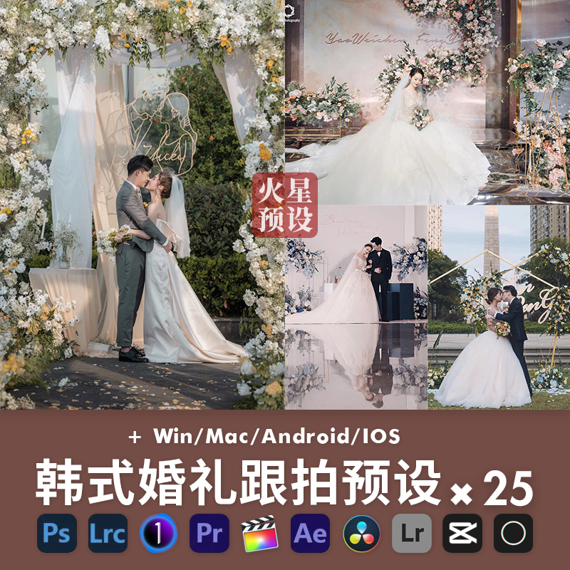 韩式婚礼跟拍LR预设小清新户外人像PS调色滤镜PR/FCPX/LUTs/