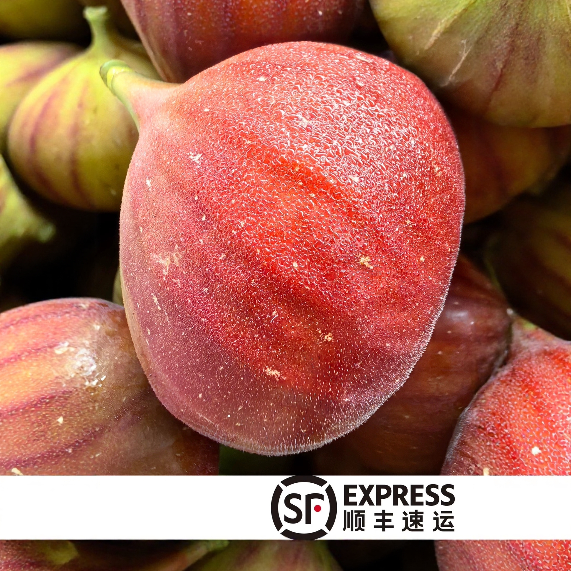 新鲜无花果果园现摘现发单果45-90g中大果顺丰包邮不催熟自然甜