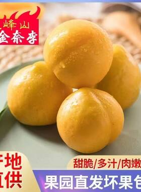 九峰山黄金奈李应季脆甜大果