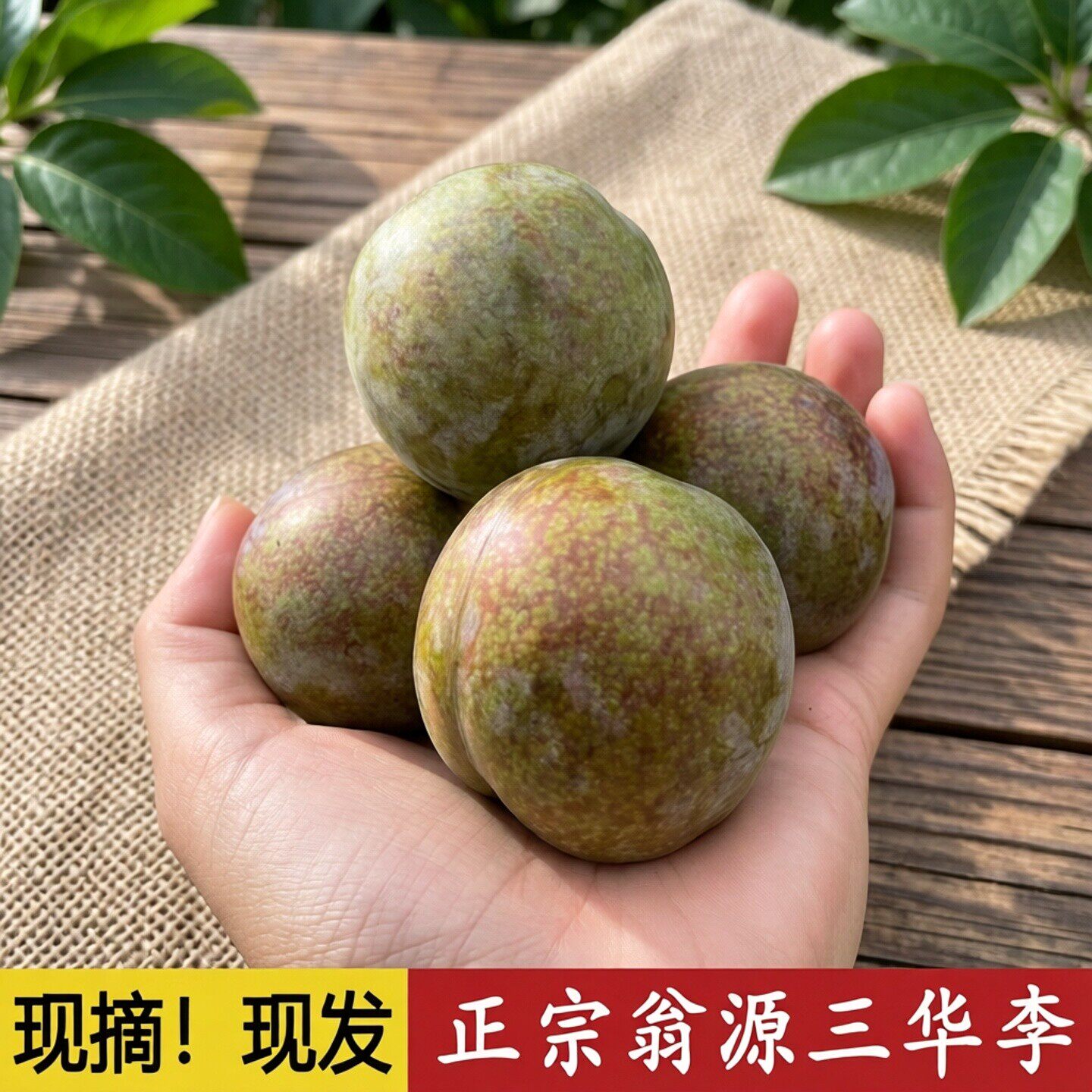 现摘现发翁源三华李红心李广东韶关特产新鲜水果5斤装礼盒装大果