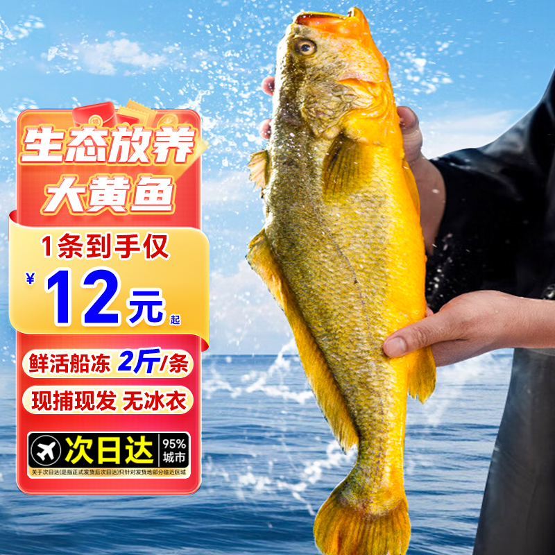 黄花鱼新鲜冷冻深海大黄鱼生鲜海鲜水产小黄鱼鲞鲜活海鱼整箱商用