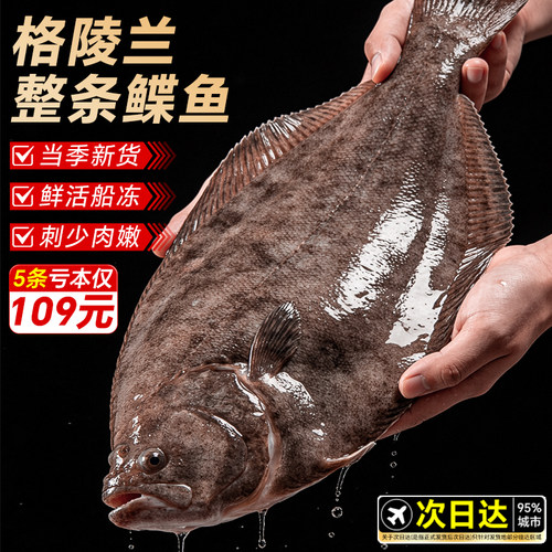鸦片鱼深海鲽鱼整条蝶鱼身鱼头格陵兰比目鱼新鲜冷冻特大牙雅片鱼