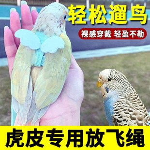 虎皮鹦鹉放飞绳幼鸟专用外出遛鸟牵鸟绳绳子外出绳鸟链拴绳固定绳
