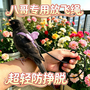 八哥专用鹦鹉放飞绳外出神器牵引绳放飞遛溜鸟绳绳子背带式飞行绳