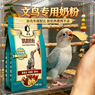 文鸟幼鸟奶粉鹦鹉专用手养鸟小鸟吃的食物雏鸟断奶粮急救营养口粮