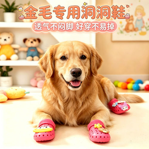 金毛专用幼犬狗狗凉鞋小狗鞋子夏透气宠物狗鞋夏季洞洞鞋易穿不掉