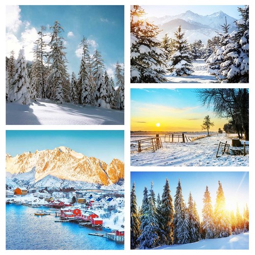 冬季雪景直播背景布直播间造景