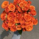 橙色芭比多头泡泡玫瑰花云南昆明基地鲜花速递同城百合花束妇女节