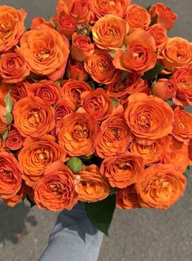 橙色芭比多头泡泡玫瑰花云南昆明基地鲜花速递同城百合花束情人节