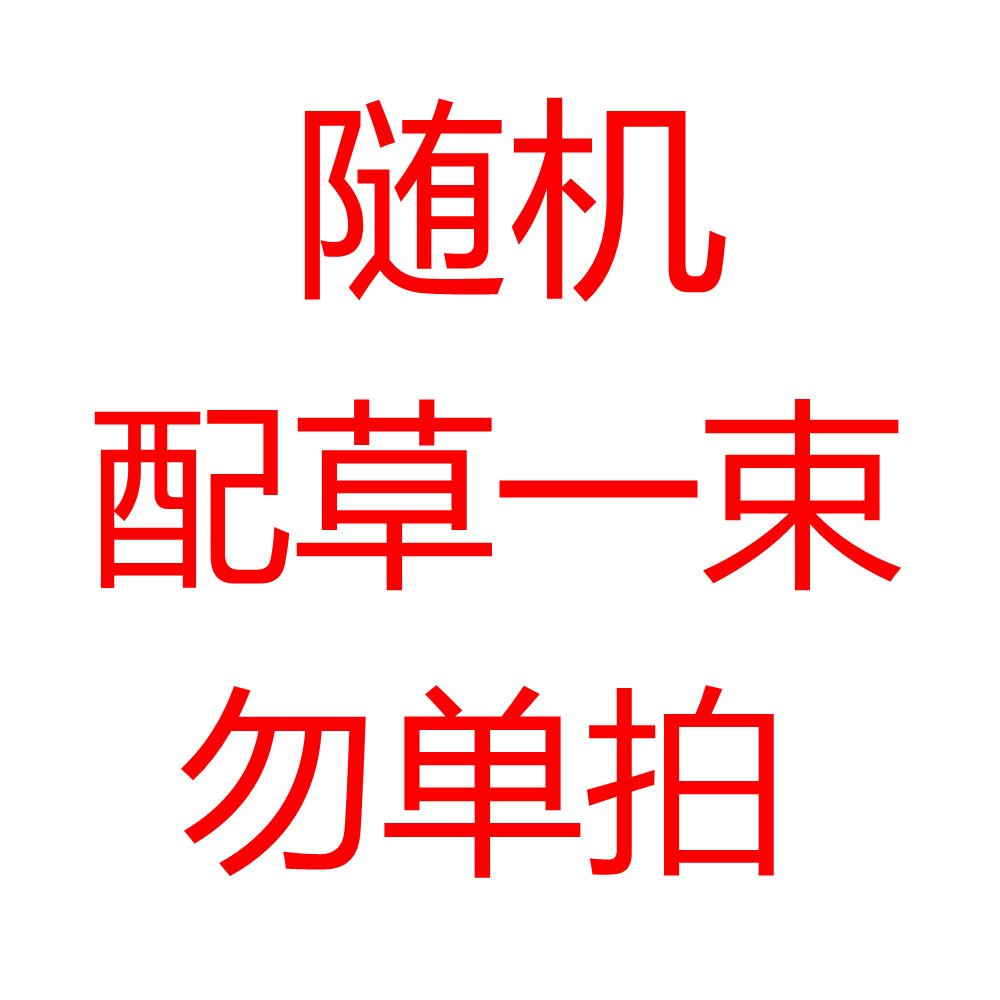 配花大束云南昆明鲜花包邮一扎洋桔梗基地直发百合水养花干鲜两用
