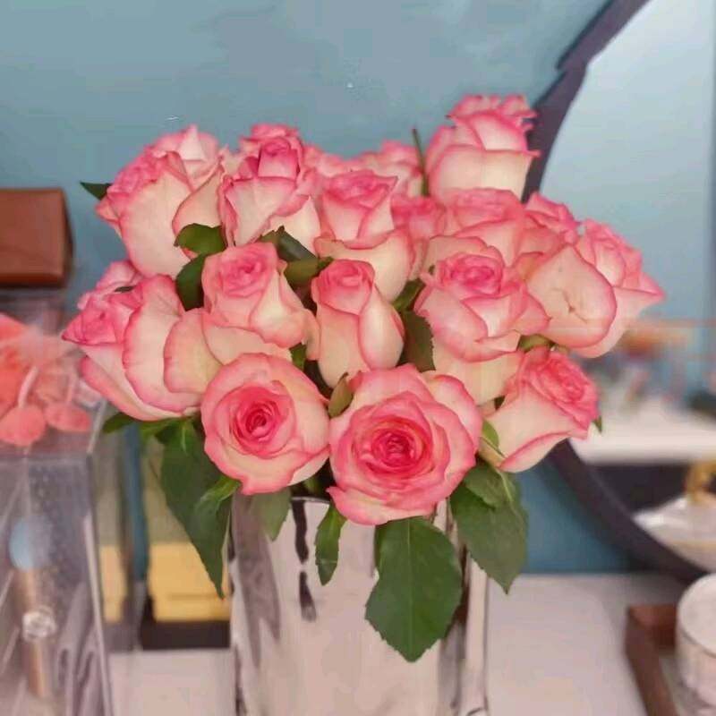 艾莎玫瑰云南昆明斗南基地发水养鲜切花情人节百合花束包邮教师节