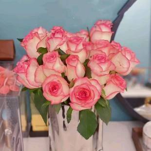 艾莎玫瑰云南昆明斗南基地发水养鲜切花情人节百合花束包邮教师节