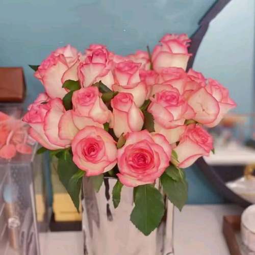 艾莎玫瑰云南昆明斗南基地发水养鲜切花情人节百合花束包邮情人节