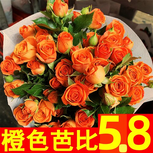 多头泡泡玫瑰花双十一