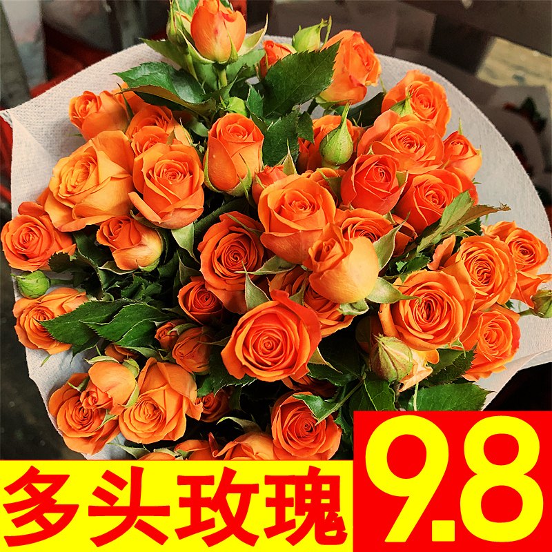 多头泡泡玫瑰花云南昆明基地鲜花速递同城百合花束爱丽丝年货节