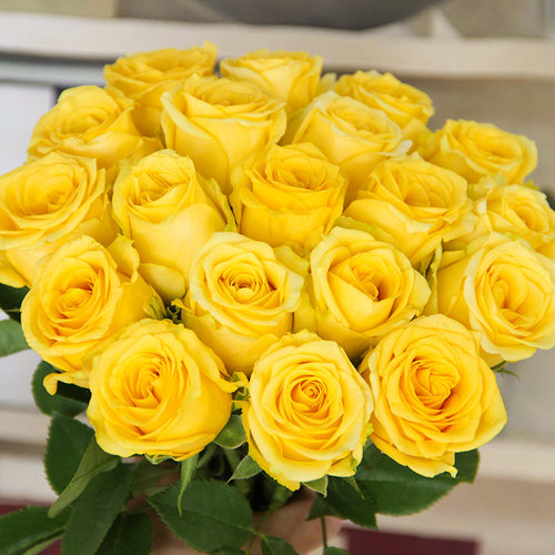 金枝玉叶玫瑰花云南昆明斗南基地直发水养百合鲜切花花520情人节