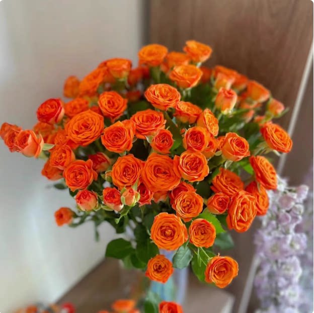 橙色芭比多头泡泡玫瑰花云南昆明基地鲜花速递同城百合花束情人节