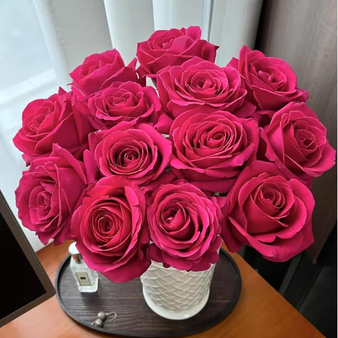 弗洛伊德玫瑰花云南昆明斗南基地直发水养百合鲜切花情人节包邮花